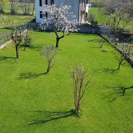 Spacious House With Garden